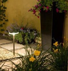 LED Lighting to High “Light” Your Garden & Landscape