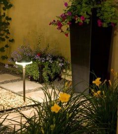 LED Lighting to High “Light” Your Garden & Landscape