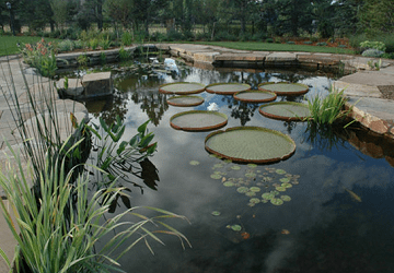 Essential Tips for Incorporating Water Sounds Into Your Garden