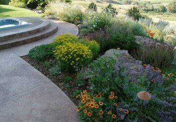 Gorgeous, Low Maintenance Plants Great for Xeriscapes