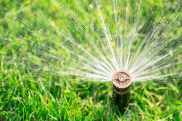 Blog Featured – Water Saving Tips for Water-Wise Landscapes