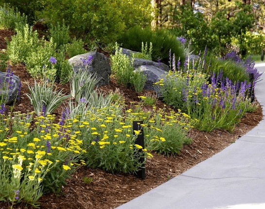 Water Saving Tips for Water-Wise Landscapes