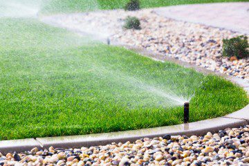 Water-Conscious Tips for Your Colorado Landscape