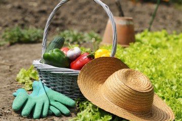 Benefits to Gardening & the Impact to Your Life & Family