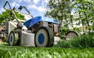 Preventative Landscape Maintenance: Final tips to prepare for the freeze