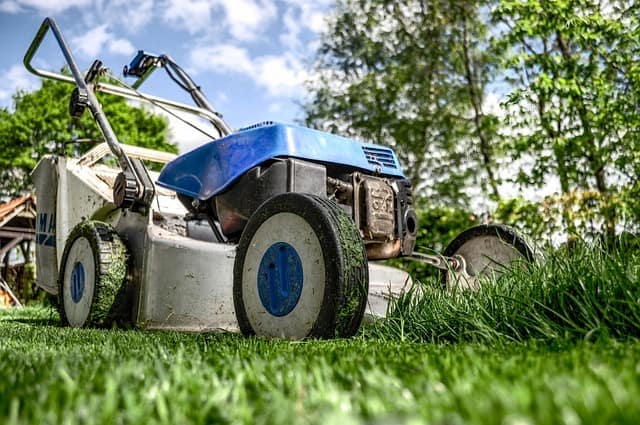 Blog Featured – Preventative Landscape Maintenance: Final tips to prepare for the freeze