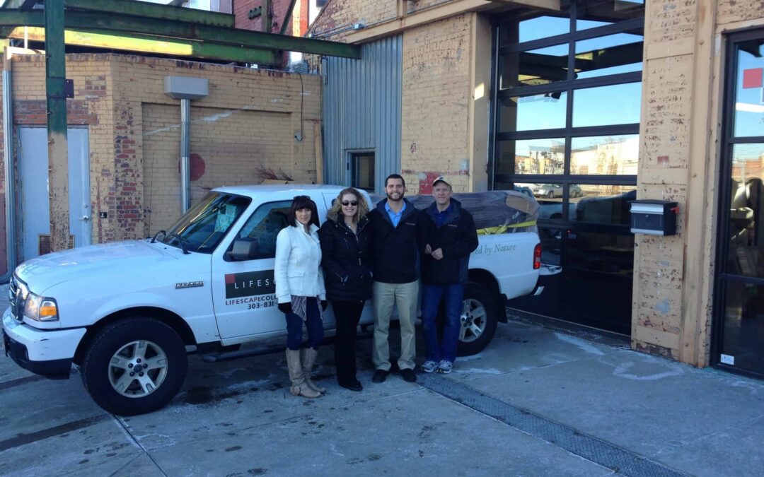 Lifescape Teams Up To Give Back