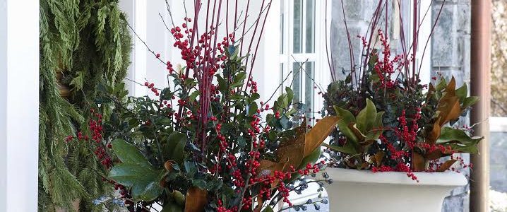 Fall and Winter Containers: Keep the Color Alive