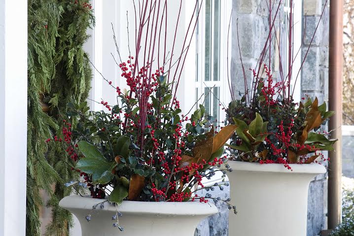 Blog Featured – Fall and Winter Containers: Keep the Color Alive