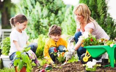 New Year, New You…New Yard