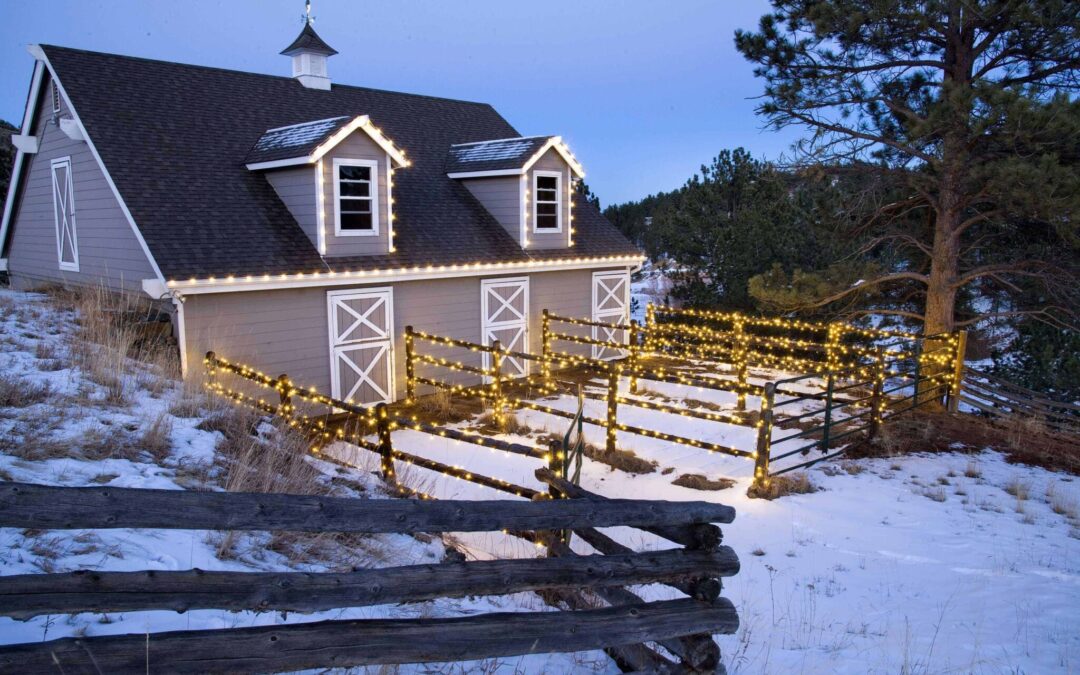 Last Minute Holiday Decorations