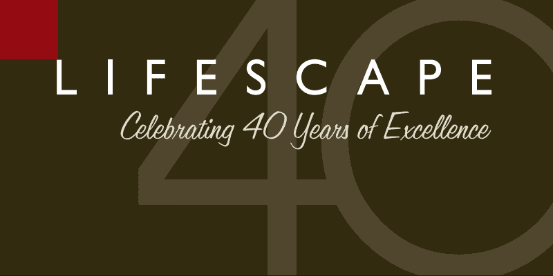 Lifescape Anniversary