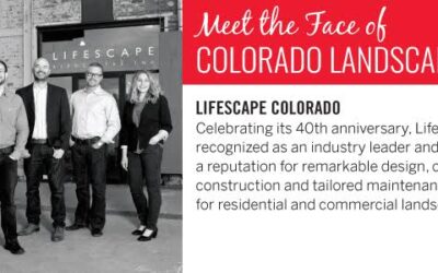 5280 Faces of Denver