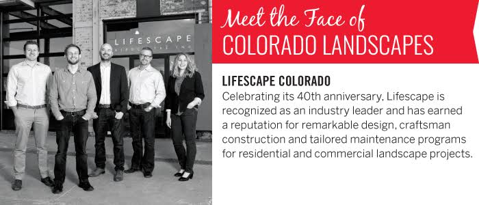 5280 Faces of Denver