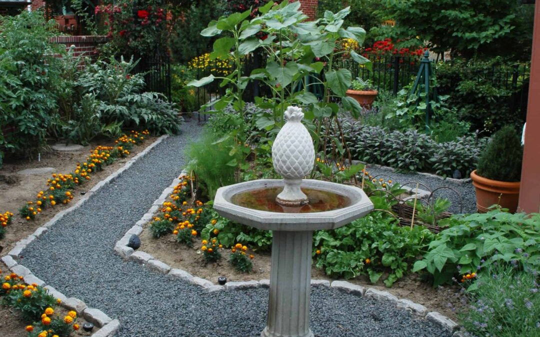 Colorado’s Seasonal Coloring