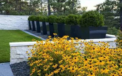 Trends In Landscaping