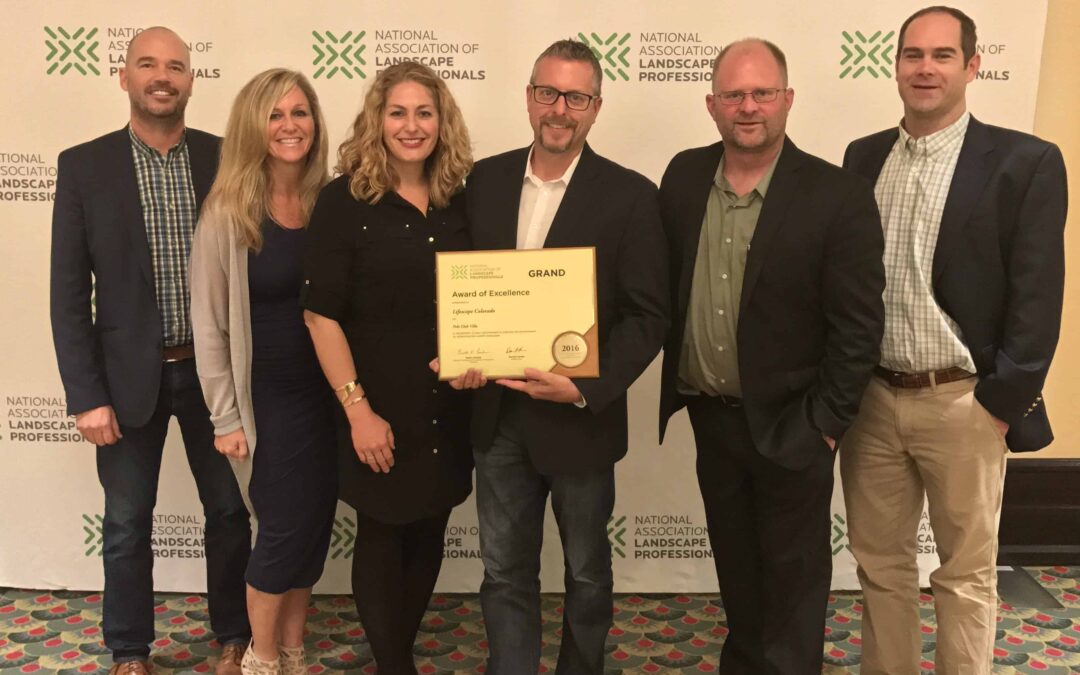 Lifescape’s 41st Anniversary