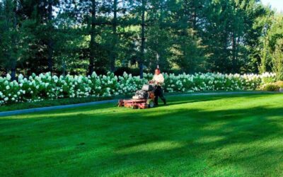 Winter Landscaping Preventative Maintenance