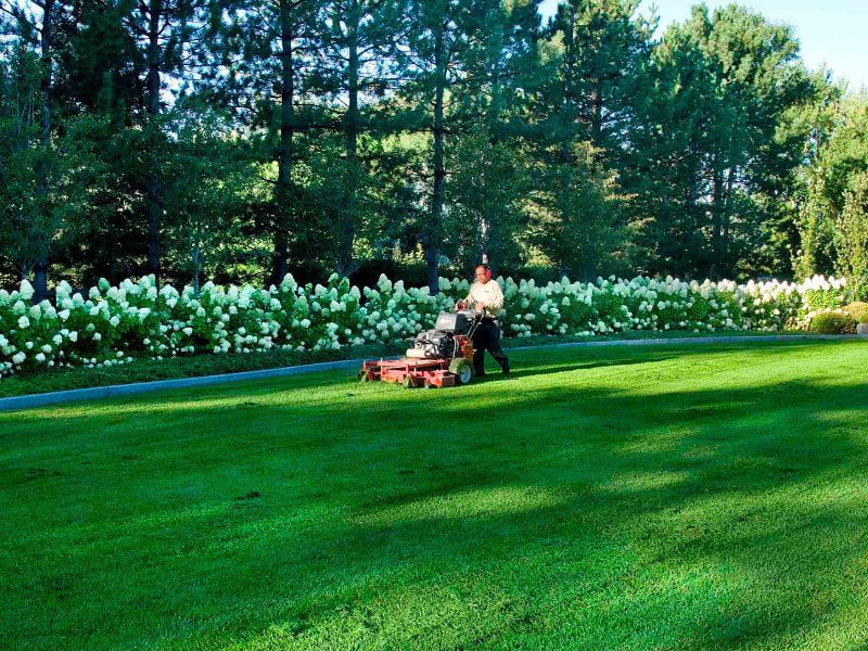 Last Chance to Mow for Winter