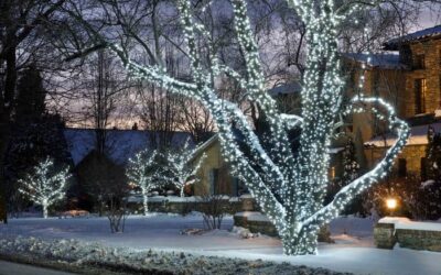 Holiday Landscape Lighting Tips By Lifescape