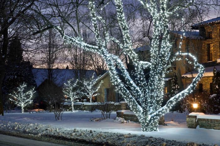 Blog Featured – Holiday Landscape Lighting Tips By Lifescape