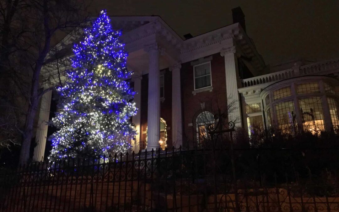 Lifescape Lights Up The Governor’s Residence