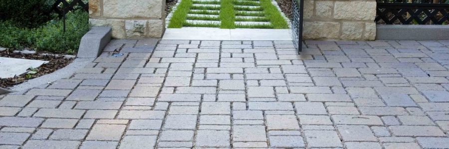 Bringing Your Landscape Alive