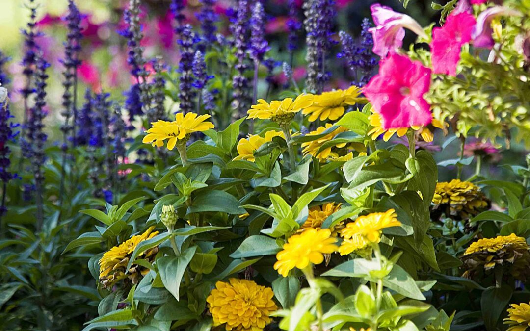 Organics and Your Landscape