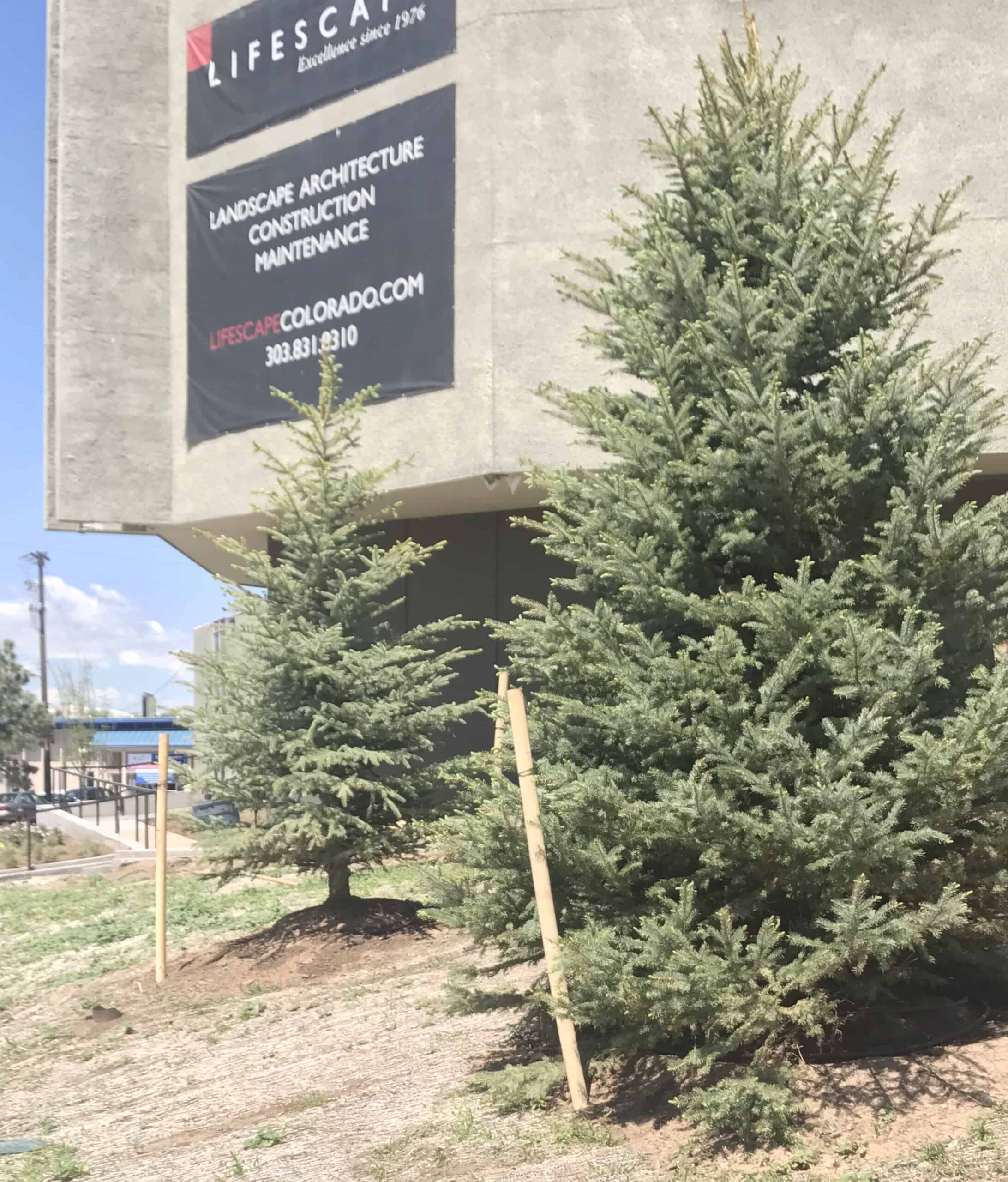 Spring Time Planting