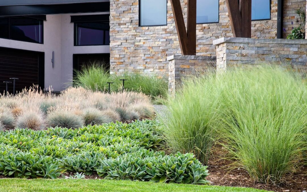 Designing with Ornamental Grasses