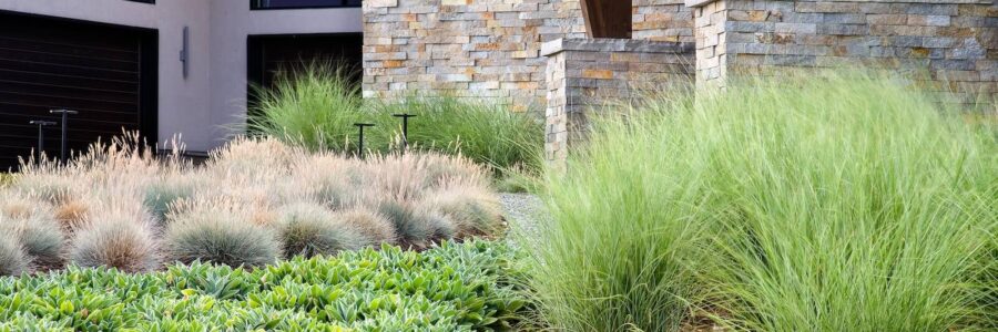 Designing with Ornamental Grasses