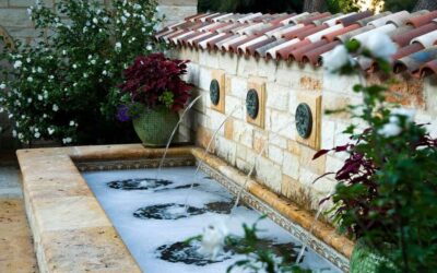 Vote Lifescape for Outstanding Water Feature