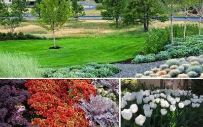 Best Landscape Enhancements for Fall