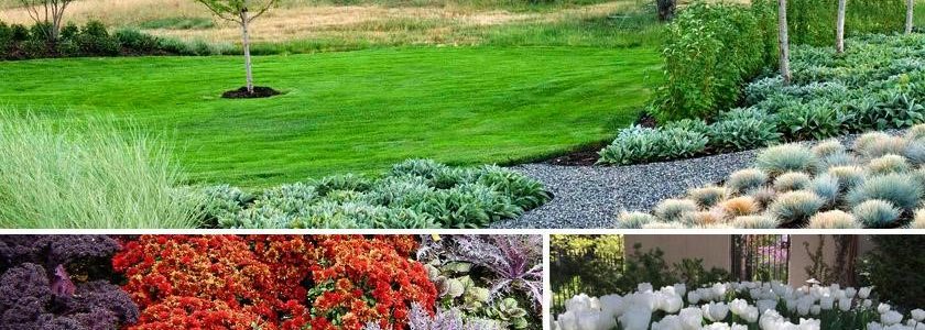 Best Landscape Enhancements for Fall