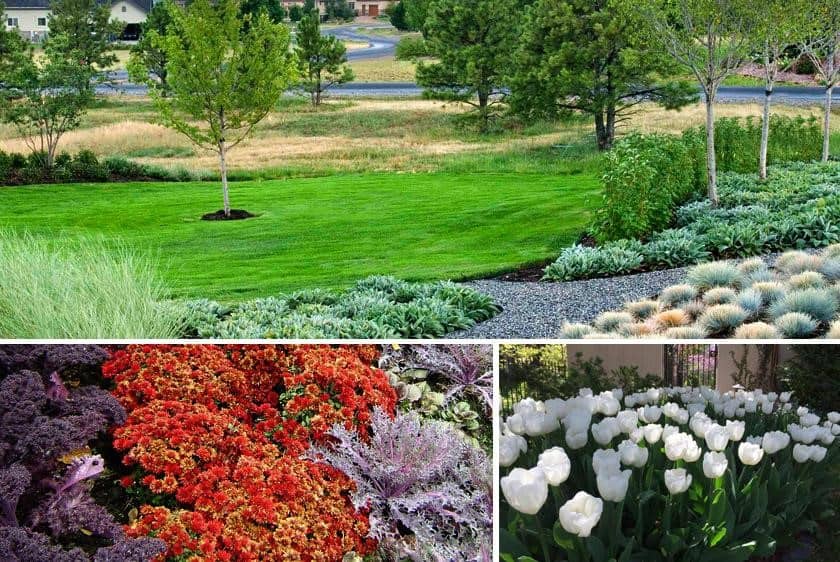 Blog Featured – Best Landscape Enhancements for Fall