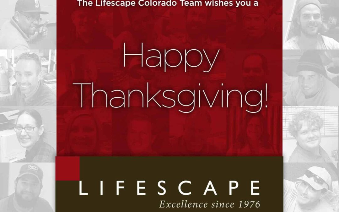 Happy Thanksgiving from the Lifescape Colorado Team