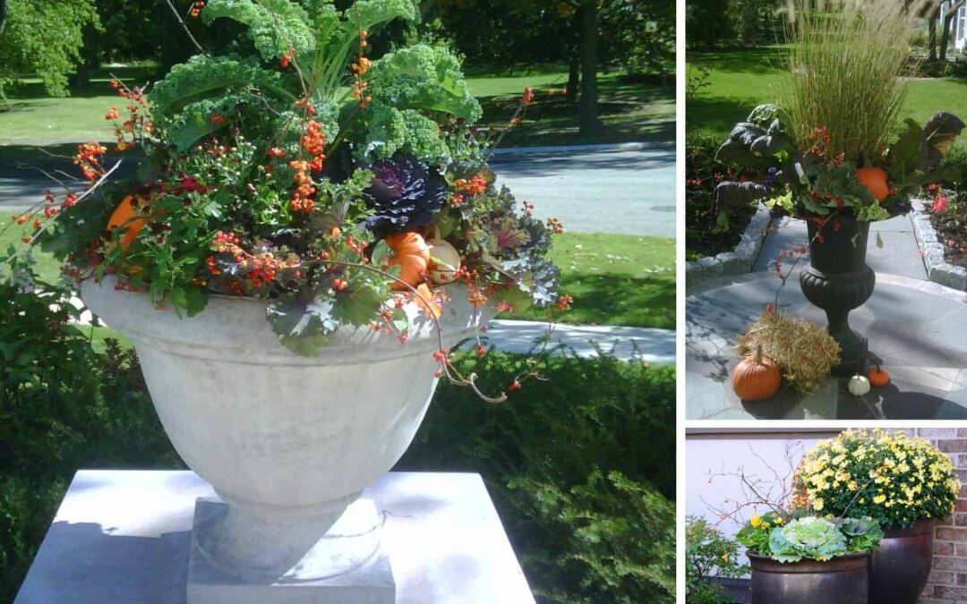 Add some seasonal splash with colorful Holiday containers