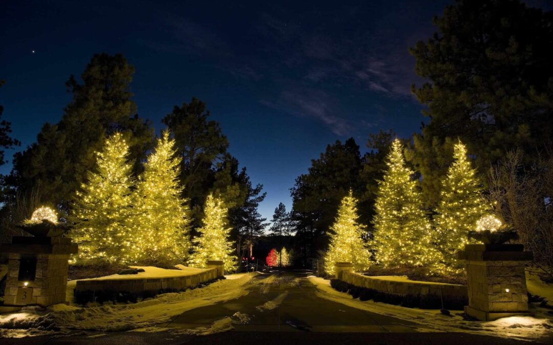 Extend a warm welcome to family and friends with beautiful holiday lighting and décor