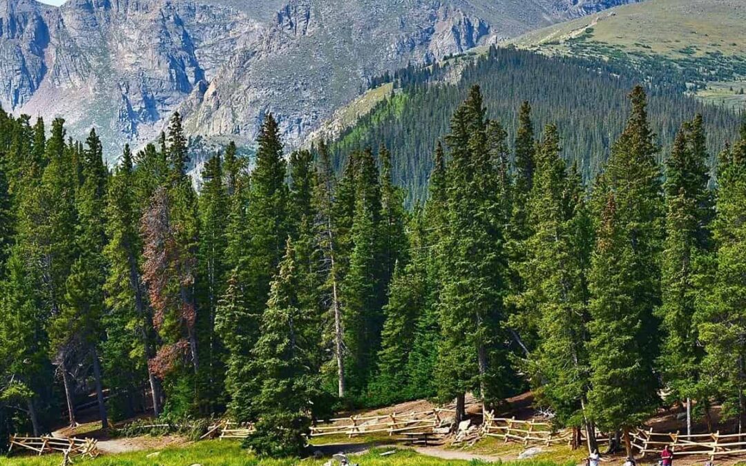 Resolve to Enjoy the Outdoors in 2018