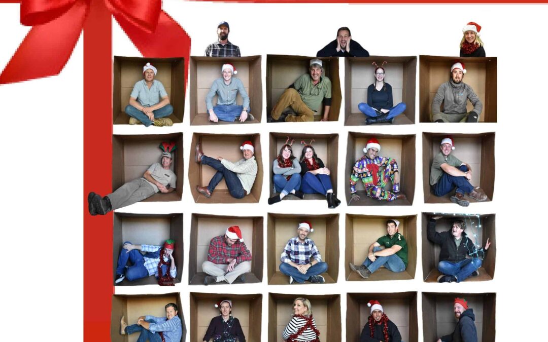 Sending Warm Holiday Wishes from Lifescape Colorado