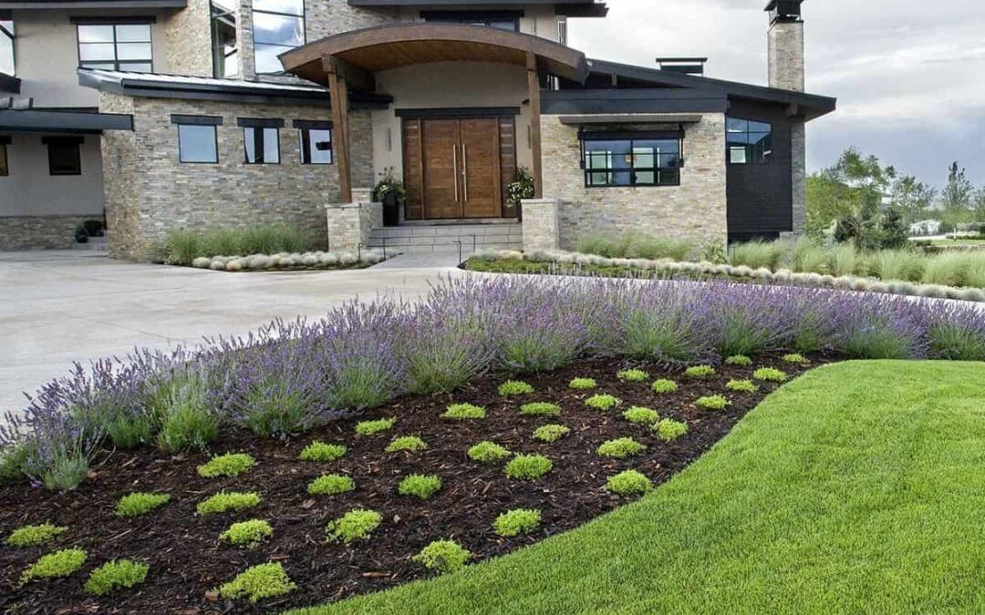 Let Lifescape Provide Full-Service Landscape Maintenance in 2018