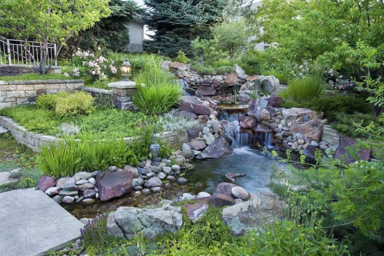 Our Mission - Denver's Premier Landscape Designers - Lifescape Colorado