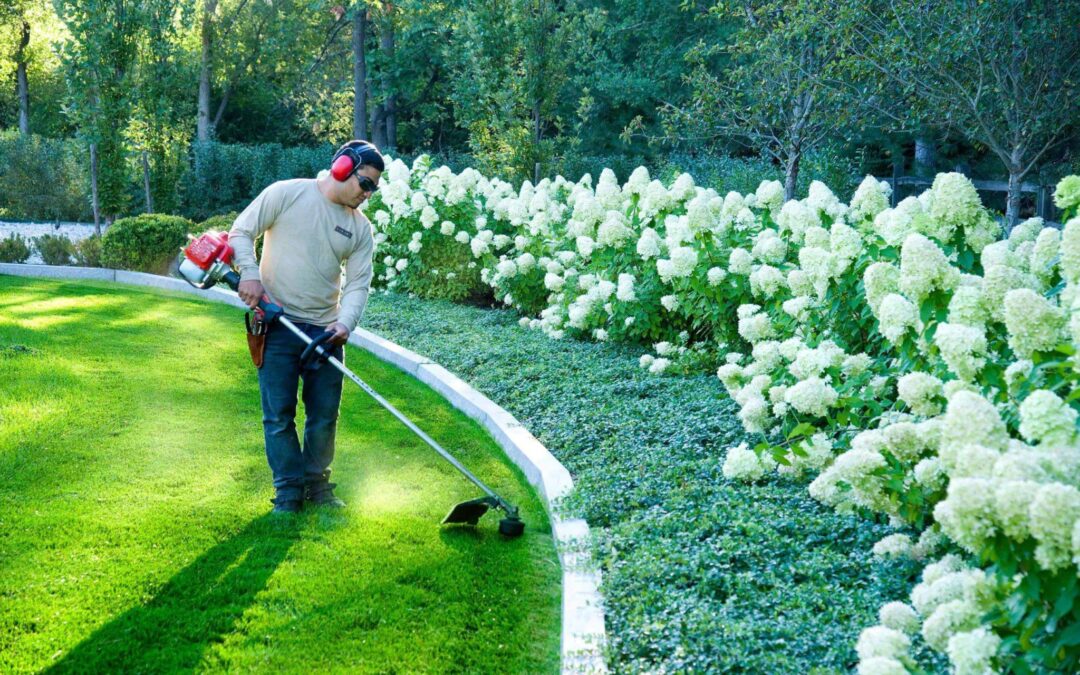 High Quality Maintenance Protects your Landscape Investment
