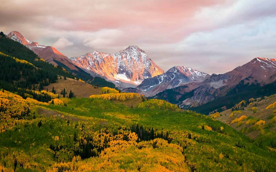 Autumn is here! It’s time for brilliant fall seasonal color.