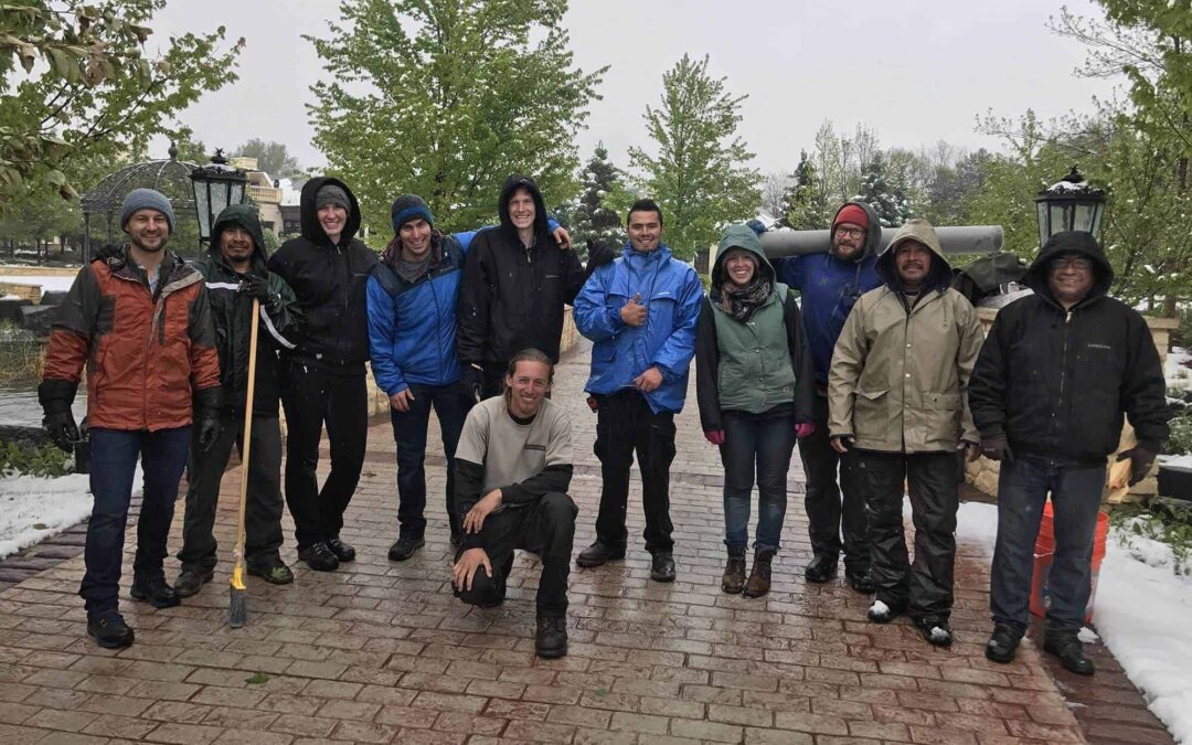 Career Goals: Lifescape is looking for the best, are you?