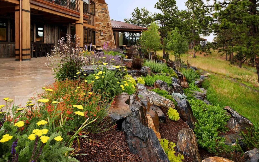 Keep your Colorado Landscape rich and colorful with perennial gardens