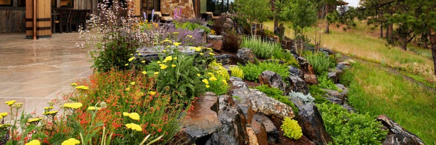 Keep your Colorado Landscape rich and colorful with perennial gardens