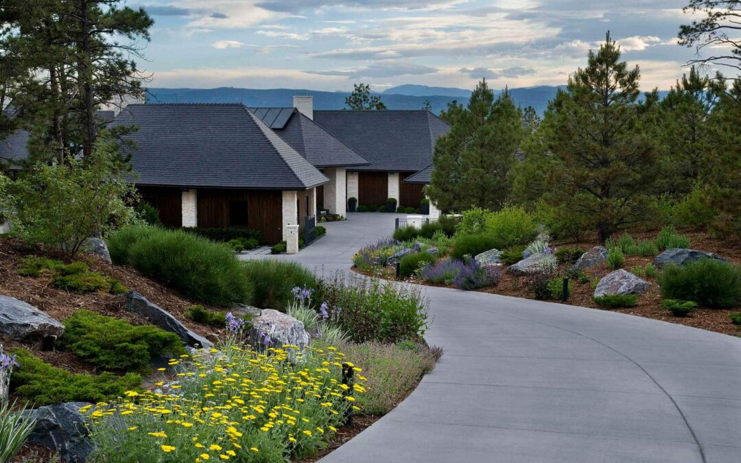 Healthy trees can mean a healthy increase in property value.