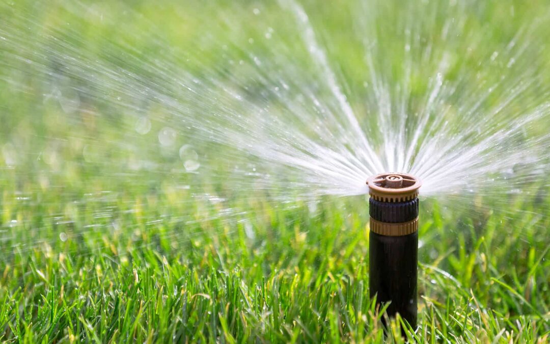 July is Irrigation Association Smart Irrigation Month.