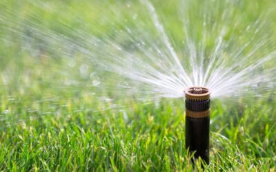 July is Irrigation Association Smart Irrigation Month.
